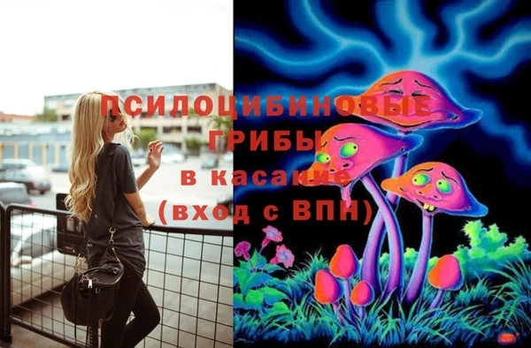 jwh Каменка