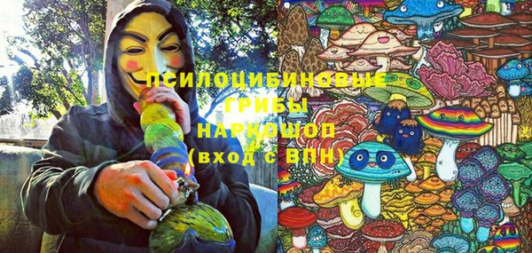 тгк Каменск-Шахтинский