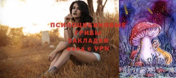 jwh Каменка