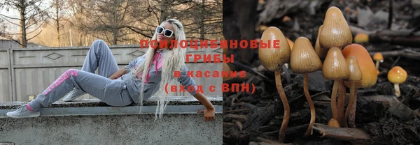 тгк Каменск-Шахтинский